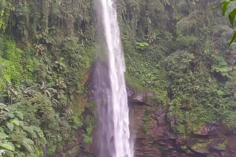 Panduan Jelajah Bukit Bintang Baturraden